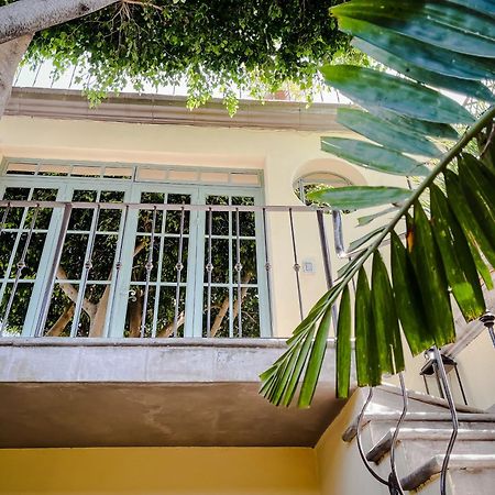 Casa Florida Bed & Breakfast San Miguel de Allende Dış mekan fotoğraf