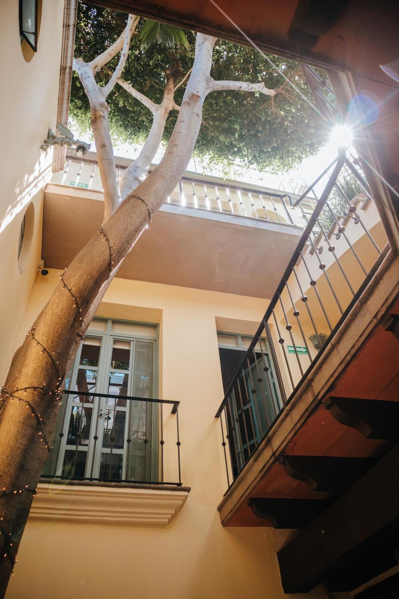 Casa Florida Bed & Breakfast San Miguel de Allende Dış mekan fotoğraf